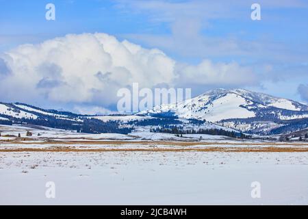 Open field with stunning snow-covered mountains Stock Photo