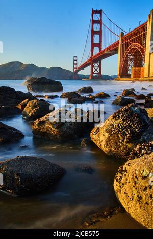 Rocks covered in mussels next to smooth waves by Golden Gate Bridge Stock Photo