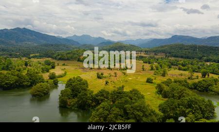 Farm and agricultural land with crops in the mountainous area. Sri Lanka. Stock Photo