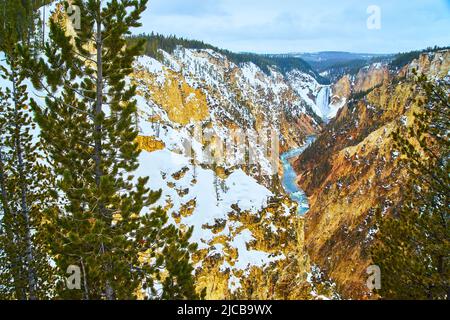 Snowy canyon with river at Yellowstone framed by pine trees Stock Photo