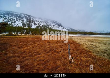 Red grassy field in Yellowstone on foggy morning in winter Stock Photo