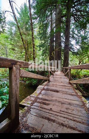 Simple rustic wood walking bridge in forest Stock Photo