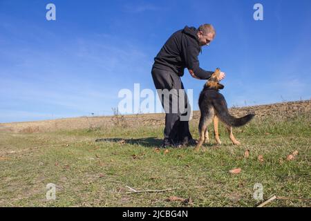 German shepherd dog and man training on grass Stock Photo