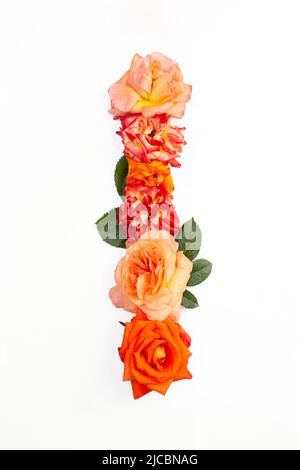 Capital letter i made with red orange roses, isolated on white background Stock Photo