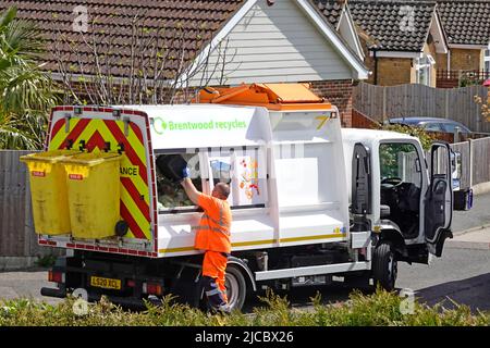 High visibility waste food bin recycling lorry driver empties household caddy into back of specialised collection truck Brentwood Essex England UK Stock Photo