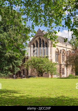 The 19th Century York Minster Library.  Seen from across a lawn there leaves of a tree in the foreground and a blue sky above. Stock Photo