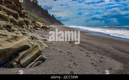 Pebble beach in Olympic National Park, Washington, USA Stock Photo