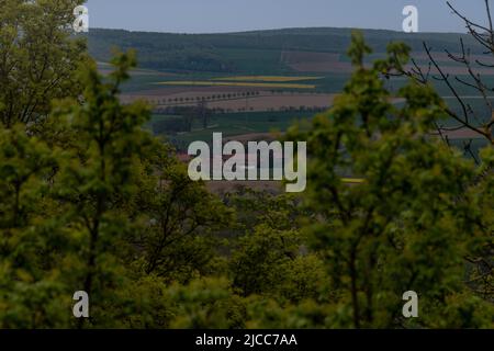 Ein Blick in die Landschaft um Burgwohldenberg, von der Aussichtsplattform sieht man weit über die Felder bis zum nächstem Wald Stock Photo