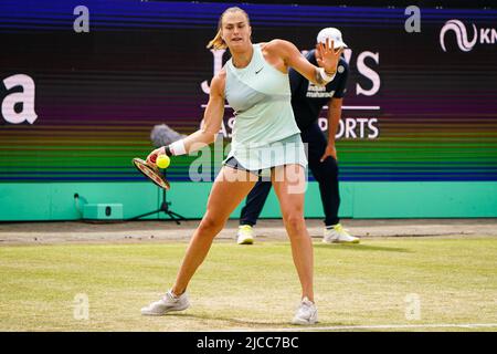 'S-HERTOGENBOSCH, NETHERLANDS - JUNE 12: Aryna Sabalenka of Belarus during the Womens Singles Final match between Aryna Sabalenka of Belarus and Ekaterina Alexandrova of Russia at the Autotron on June 12, 2022 in 's-Hertogenbosch, Netherlands (Photo by Joris Verwijst/BSR Agency) Credit: BSR Agency/Alamy Live News
