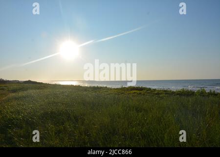 Wind damaged trees on Cavendish Beach, PEI Stock Photo