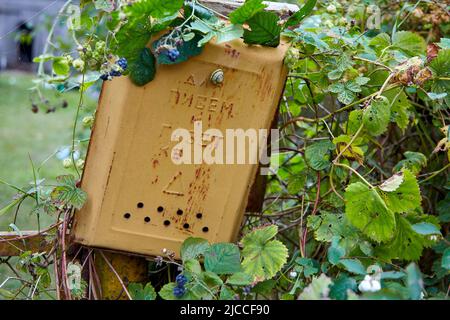 Old yellow mailbox with a crawling snail in the bramble bushes. Selective focus Stock Photo