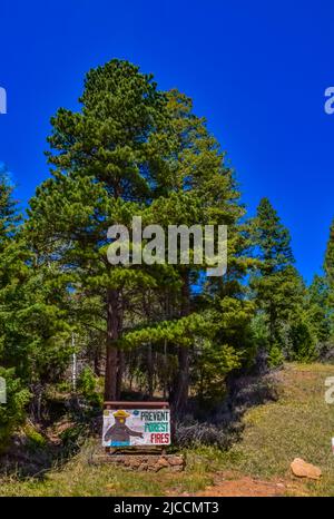 Warning sign near fir forest landscape photo Stock Photo - Alamy