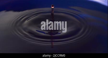 Water Drop Photography, Close up of red water drops into dark blue colored water. Stock Photo