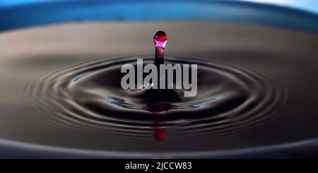 Water Drop Photography, Close up of red water drops into dark blue colored water. Stock Photo