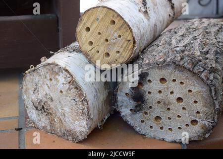 bee nesting holes Stock Photo