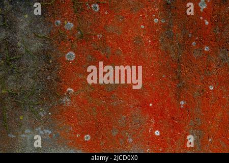 Old distressed red wall with damp, grunge textured background Stock Photo