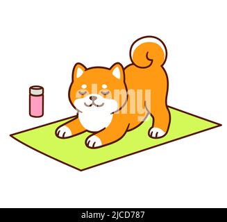 Cartoon Shiba Inu doing Downward Facing Dog yoga pose. Kawaii yoga dog drawing, simple and cute vector clip art illustration. Stock Vector