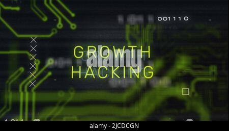 Image of interference over growth hacking text, data processing and computer circuit board Stock Photo