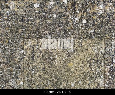 background, texture - a wall of even rough stone blocks, covered with lichen from old age Stock Photo