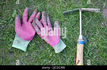 Garden tools, small rakes and pink gloves on the ground and green grass. flatlay and copy space. Farmer's or gardener's work gloves, small garden rake Stock Photo