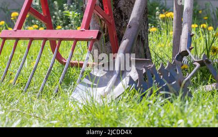 Gardening tools. Garden tools on the background of a garden in green grass. Summer work tool. Shovel, fork and baking powder stacked in the garden out Stock Photo