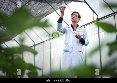 Portrait of handsome agricultural researcher working on research at plantation in industrial greenhouse Stock Photo