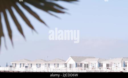 Palm tree and wooden Crystal pier with cottages, California ocean beach, USA. Summer vacations beachfront houses on Mission beach, San Diego shore. White homes, sky, waterfront bungalows on sea coast Stock Photo