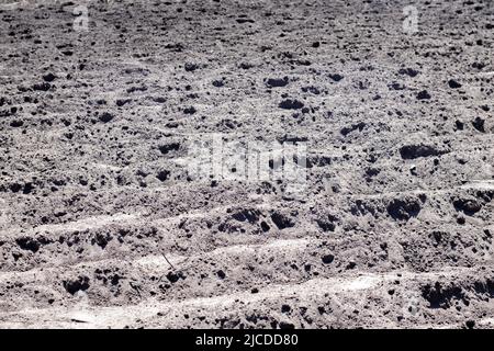 Long flat top rows, furrows, mounds for newly planted potatoes in a rural vegetable garden. A field with several rows of planted potatoes in early spr Stock Photo