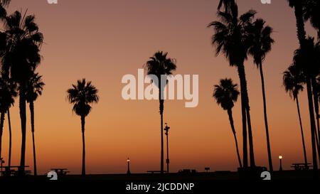 Orange sky, silhouettes of palm trees on beach at sunset, California coast, USA. Bicycle or bike in beachfront park at sundown in San Diego, Mission beach. People walking. Seamless looped cinemagraph. Stock Photo