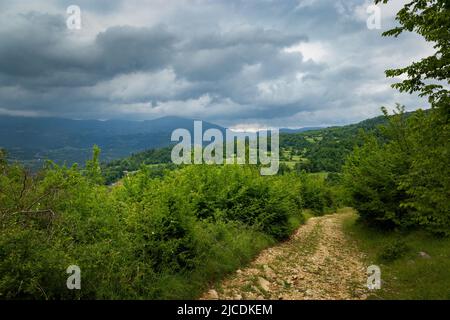 Road in the mountains. Low mountains covered with forest. Balkan mountains. Stock Photo