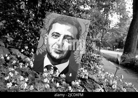 Neighborhood yard sign in support and defense of Ukraine and Ukrainian President Volodymyr Zelenskyy in Minneapolis, Minnesota, USA Stock Photo