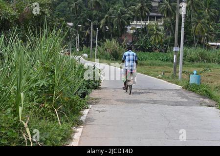 Horana,Kalutara District, Sri Lanka February 25 2022: A mature man pedaling a bicycle on a concrete road a view from back Stock Photo