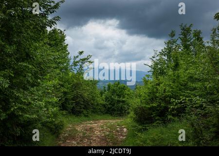 Road in the mountains. Low mountains covered with forest. Balkan mountains. Stock Photo