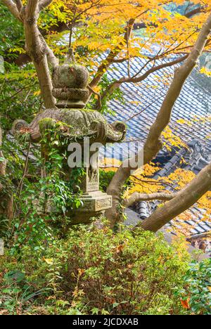 kyushu, japan - december 08 2021: Traditional Japanese stone Kasuga lantern recognizable with its shapes of fern plants in the forest of Okunomiya Has Stock Photo