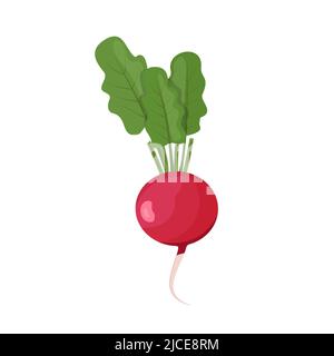 Radish with leaves, flat style vector illustration isolated on white background Stock Vector
