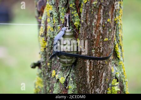 Booby Trap IED from soviet hand grenade F1 and tripwire Stock Photo