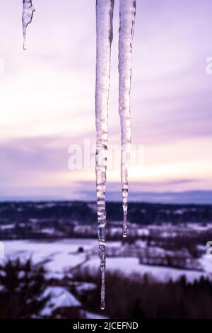 icicles at sunset with a valley in the background Stock Photo