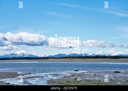 Small airplane getting ready to land on a beach near Gustavus Alaska in spring with snow on the mountains. Stock Photo