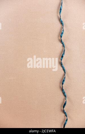 https://l450v.alamy.com/450v/2jcewfa/black-spiral-cord-opposite-the-brown-background-a-thin-black-rope-hangs-vertically-minimalist-background-with-copy-space-for-text-and-design-element-2jcewfa.jpg