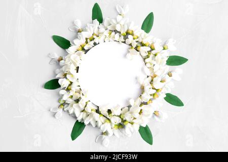 Sun shaped floral circle frame made from white acacia flowers on light-gray background with copy space. Stock Photo