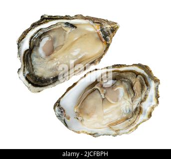 Open oysters isolated on white background with clipping path Stock Photo