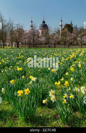 Cherry blossom in the baroque garden at the mosque in Schwetzingen Castle, Schwetzingen, Baden-Württemberg, Germany Stock Photo