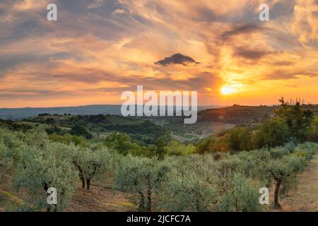 Val d'Elsa, Chianti, Province of Firenze, Tuscany, Italy Stock Photo