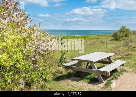 Germany, Schleswig-Holstein, nature reserve 'Geltinger Birk', rest area, bench Stock Photo
