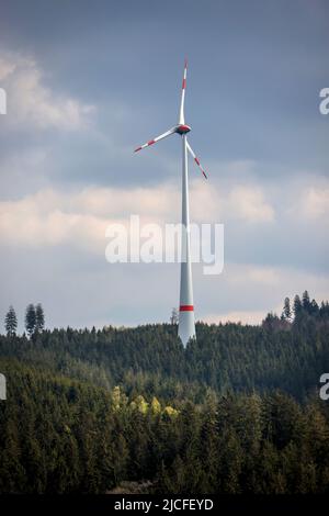27.04.2022, Hilchenbach, North Rhine-Westphalia, Germany - Wind turbine in the forest. Forest dieback in the district of Siegen-Wittgenstein in the Sauerland, drought and bark beetle damage the spruce trees in the coniferous forest. Stock Photo
