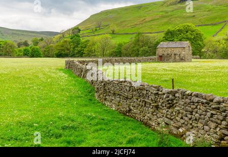 Selective focus of a traditional stone barn or Cow House in Muker, Swaledale, Yorkshire Dales in early Summertime with drystone walling and wildflower