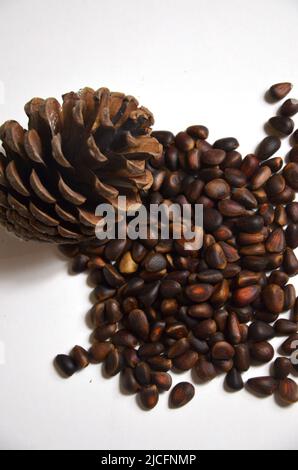 Siberian pine Cedar cone with nuts isolated on white background Stock Photo