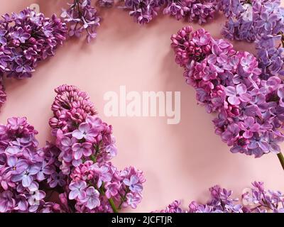 Bordr of purple lilac flowers and white frame for text and invitation. Top  view Stock Photo - Alamy