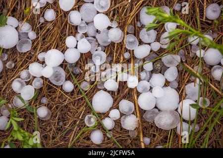 Background of hailstones on the ground, a lot of hailstones Stock Photo