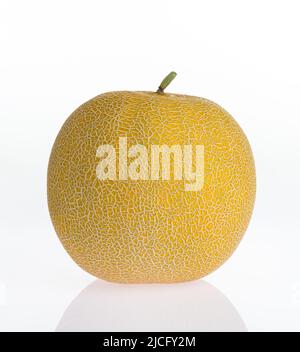 Melon isolated on a white reflective background. Organic sweet yellow melon Stock Photo